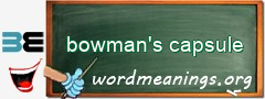 WordMeaning blackboard for bowman's capsule